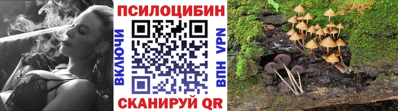что такое наркотик  KRAKEN tor  Псилоцибиновые грибы мицелий  Острогожск 